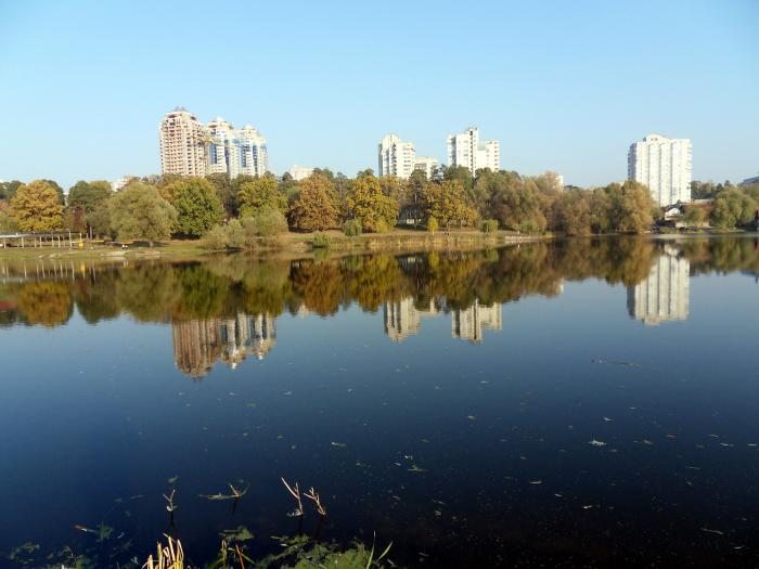 stavok_21